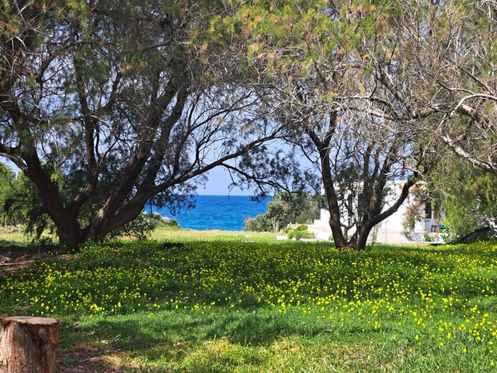 Apartment Arancio Independent In Ecovilla On The Apolakkia