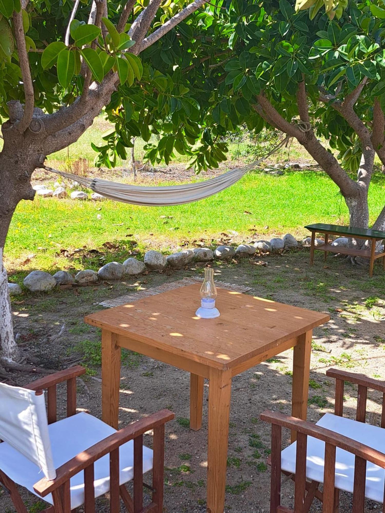 Arancio Independent In Ecovilla On The Apolakkia